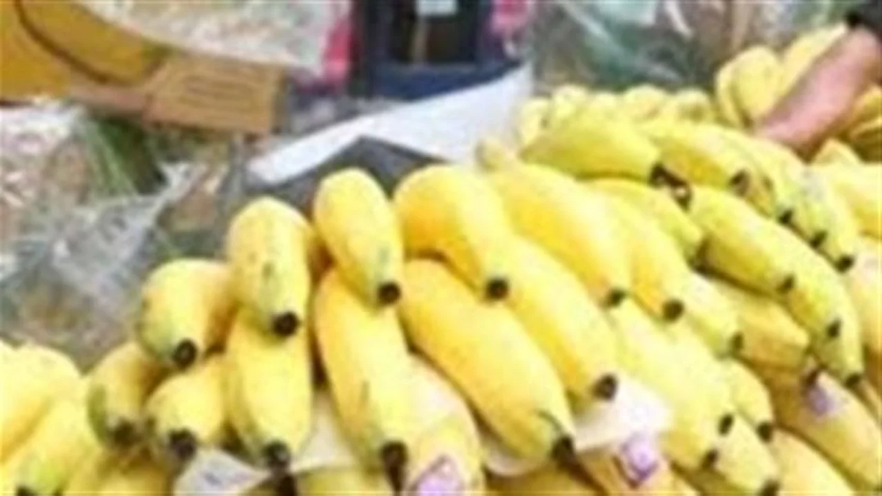 أسعار الموز والتفاح تتغير.. إليك التفاصيل الجديدة للأسواق